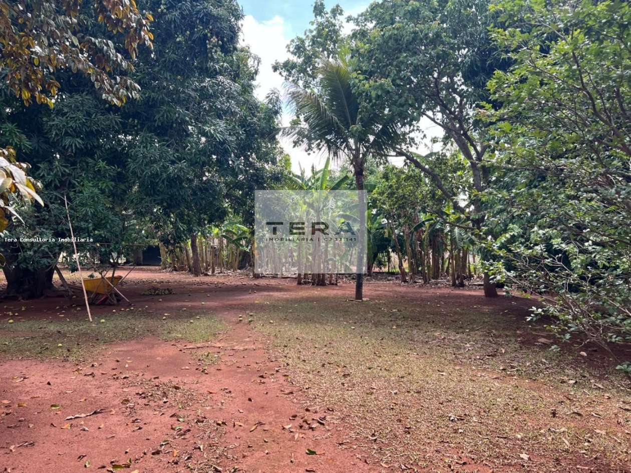 Chácara, 3 hectares - Foto 13