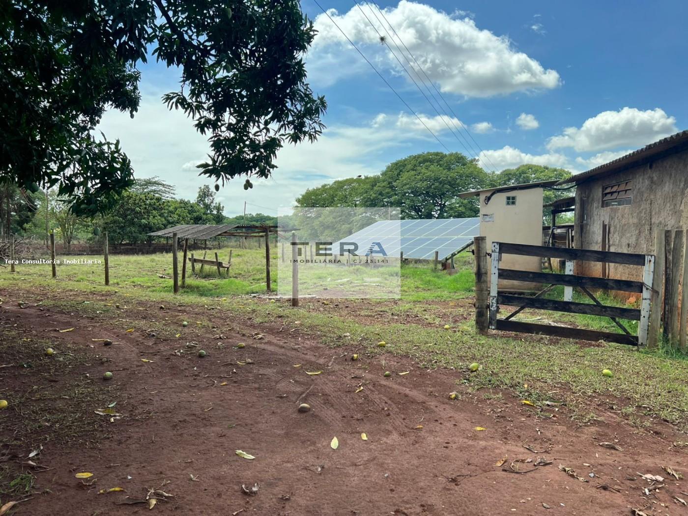 Chácara, 3 hectares - Foto 15