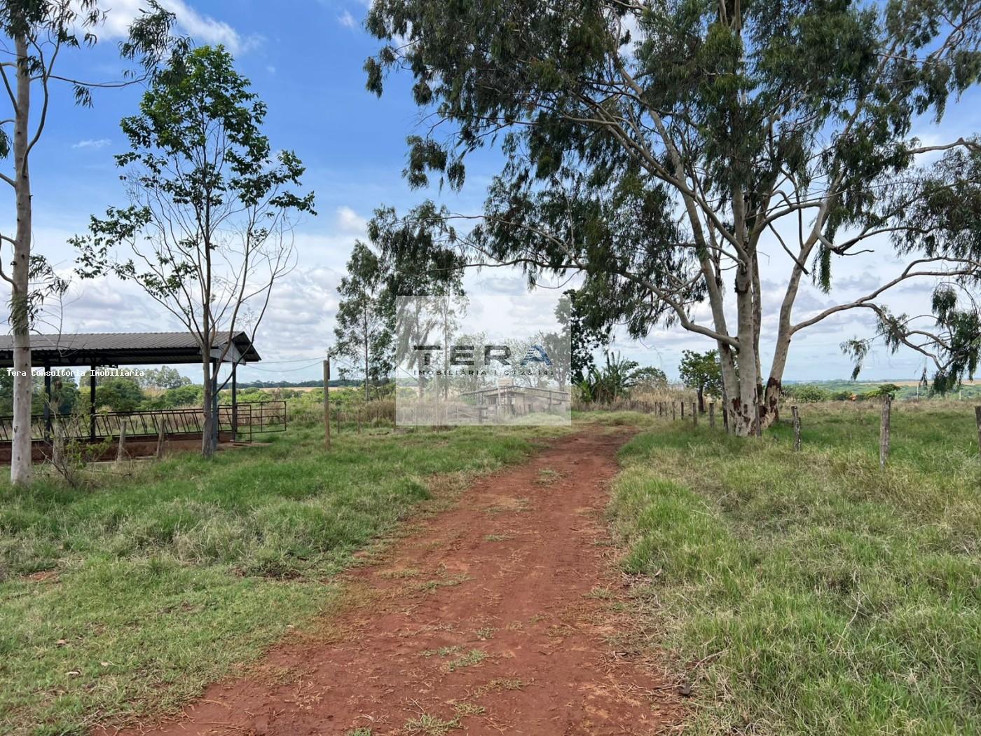 Chácara, 3 hectares - Foto 17