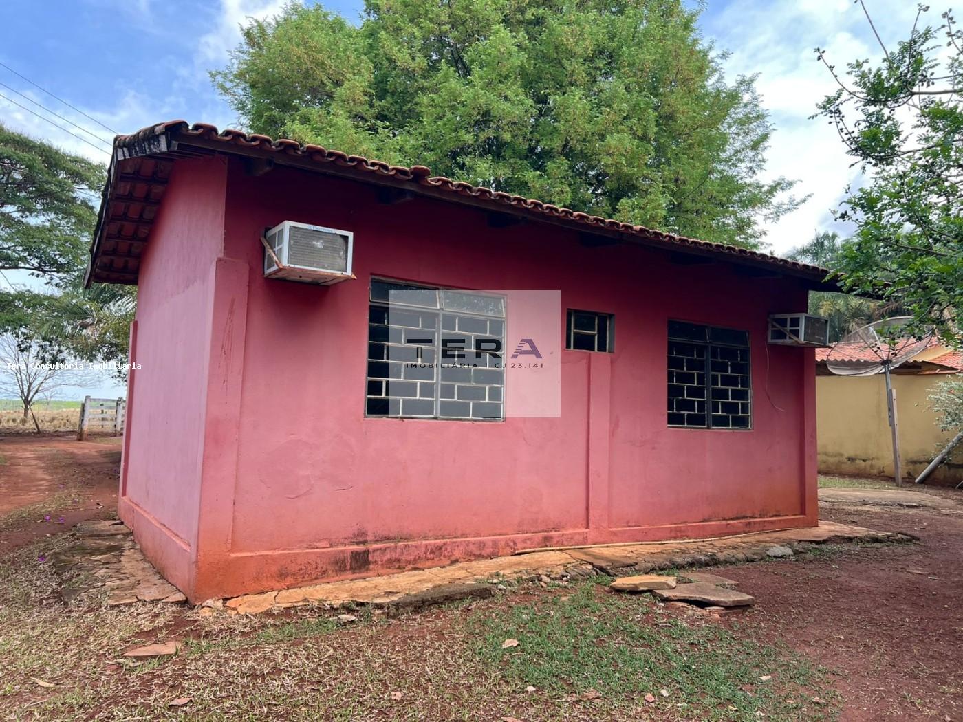 Chácara, 3 hectares - Foto 16