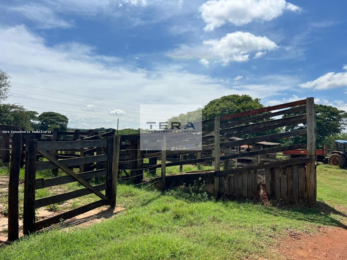 Chácara, 3 hectares - Foto 20