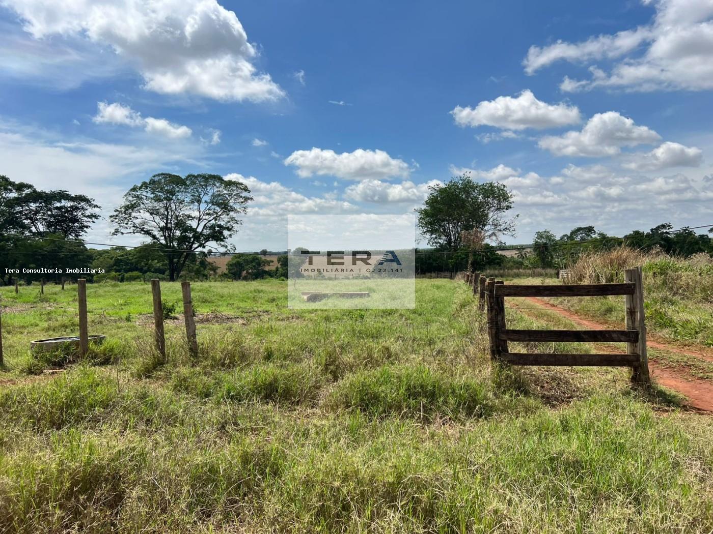 Chácara, 3 hectares - Foto 18