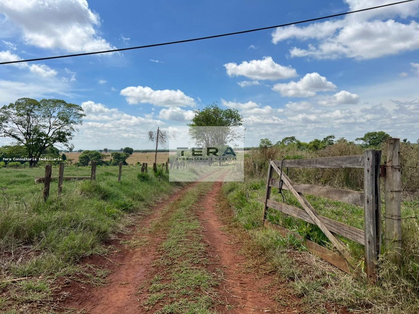 Chácara, 3 hectares - Foto 19