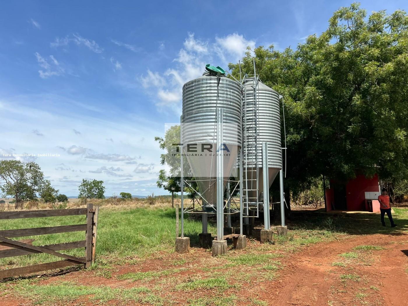 Chácara, 3 hectares - Foto 21