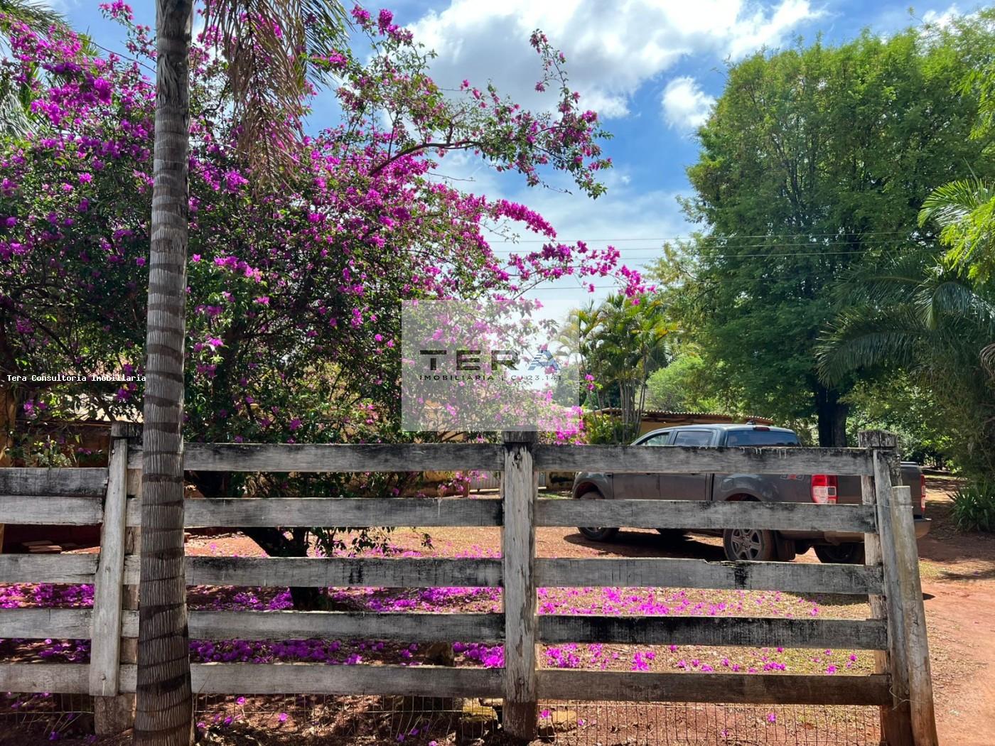 Chácara, 3 hectares - Foto 25