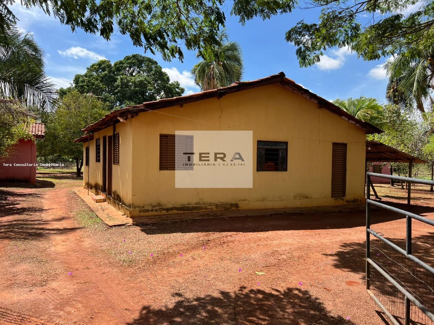 Chácara, 3 hectares - Foto 2