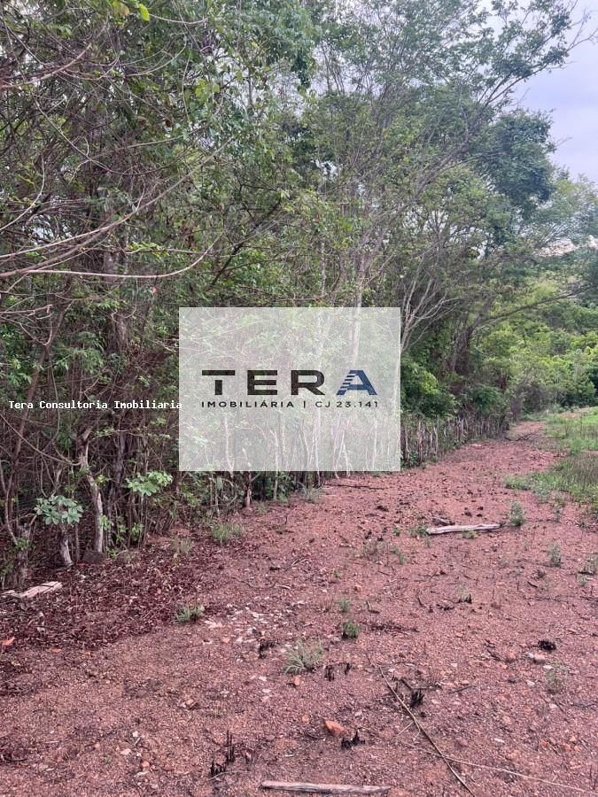 Terreno, 5087 m² - Foto 9