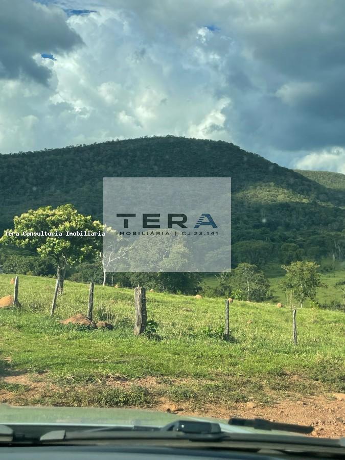 Fazenda, 72 hectares - Foto 6