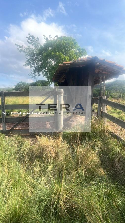 Chácara - Foto 10