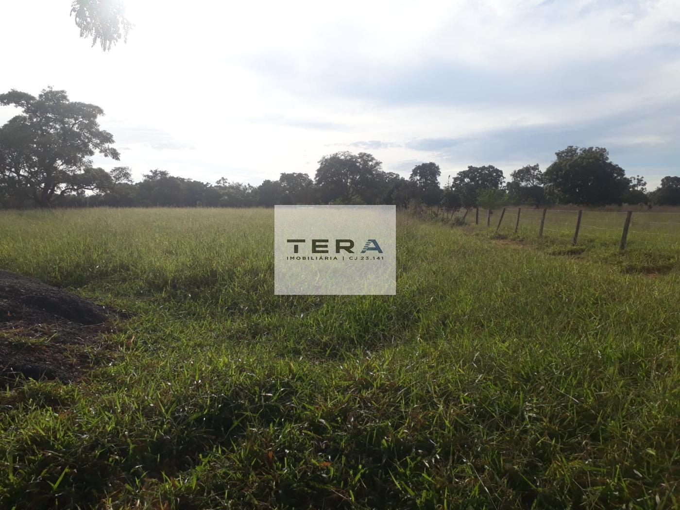 Terreno, 5 hectares - Foto 3