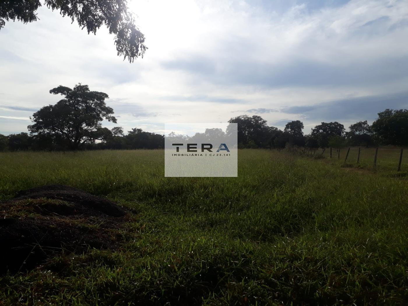 Terreno, 5 hectares - Foto 4