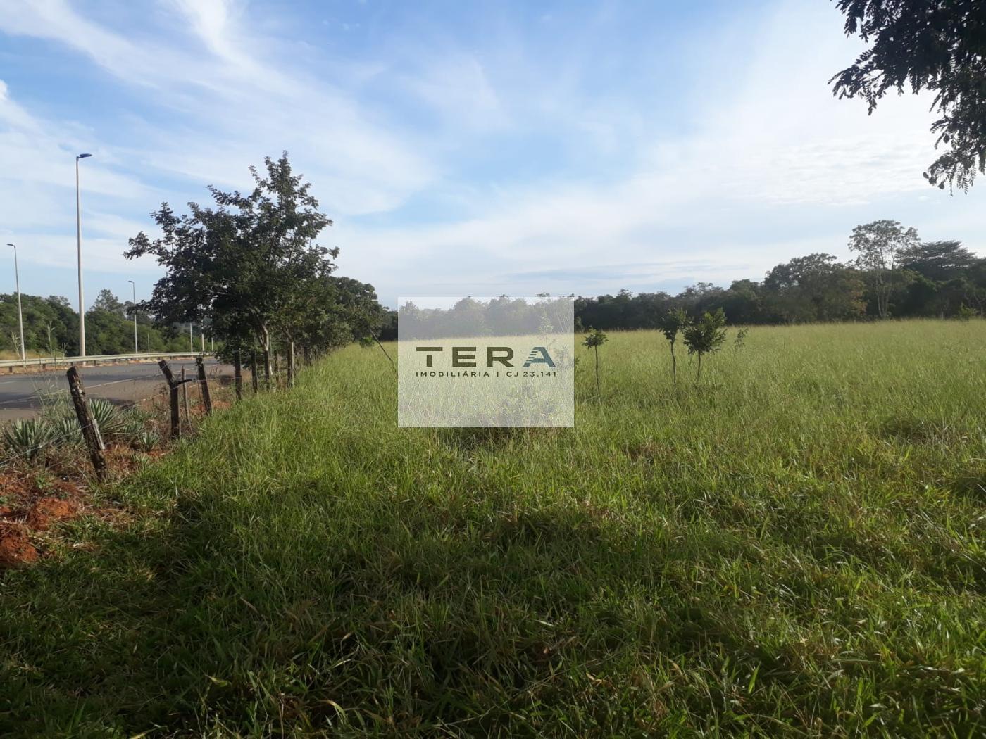 Terreno, 5 hectares - Foto 2