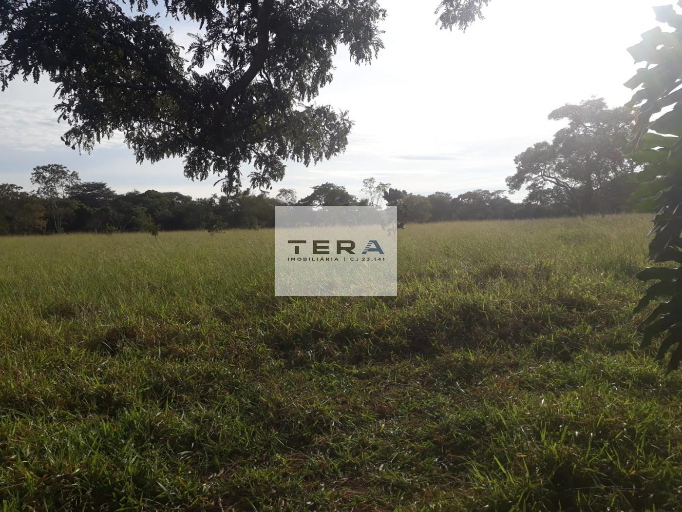 Terreno, 5 hectares - Foto 5