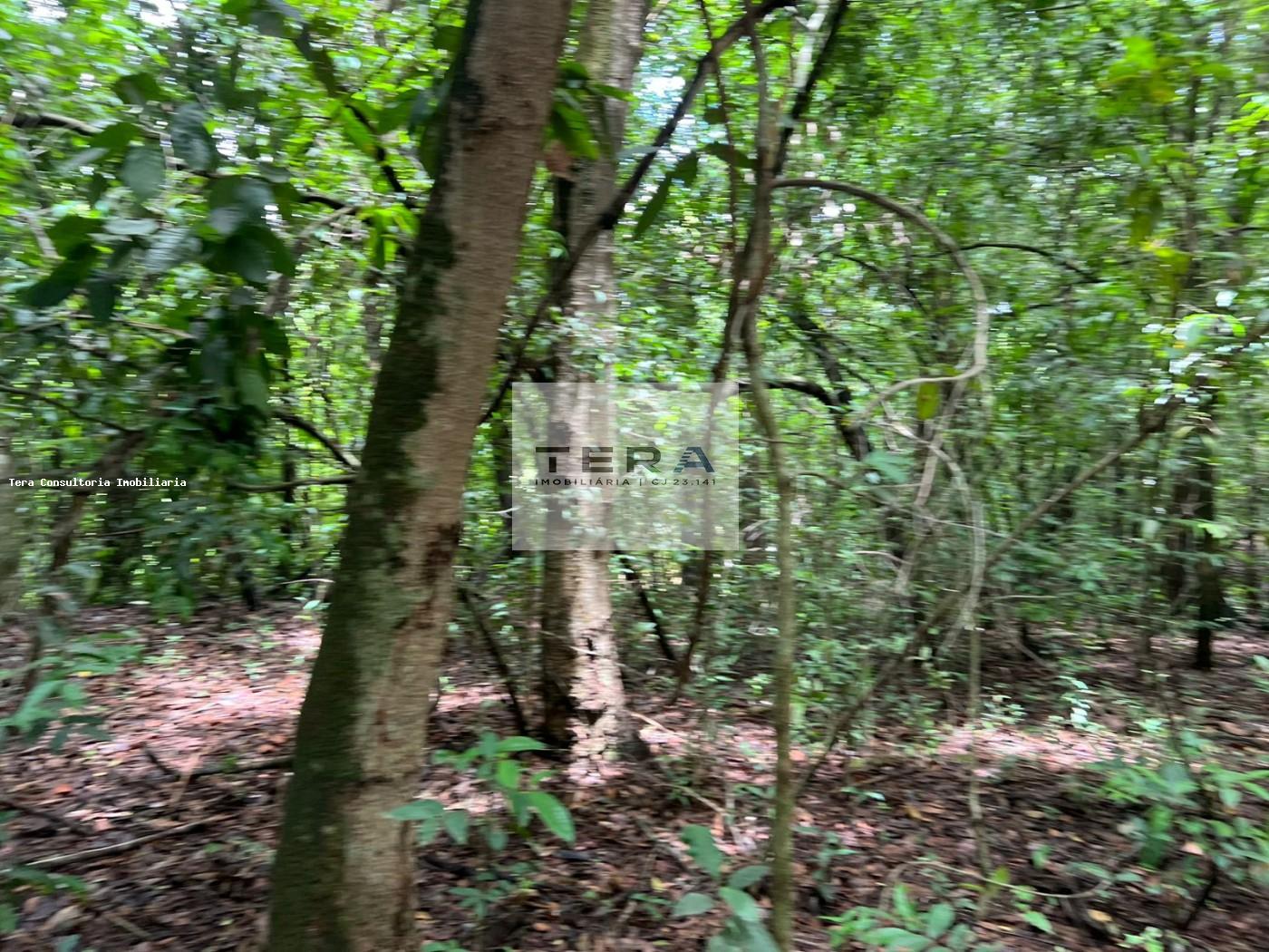 Terreno, 5 hectares - Foto 1