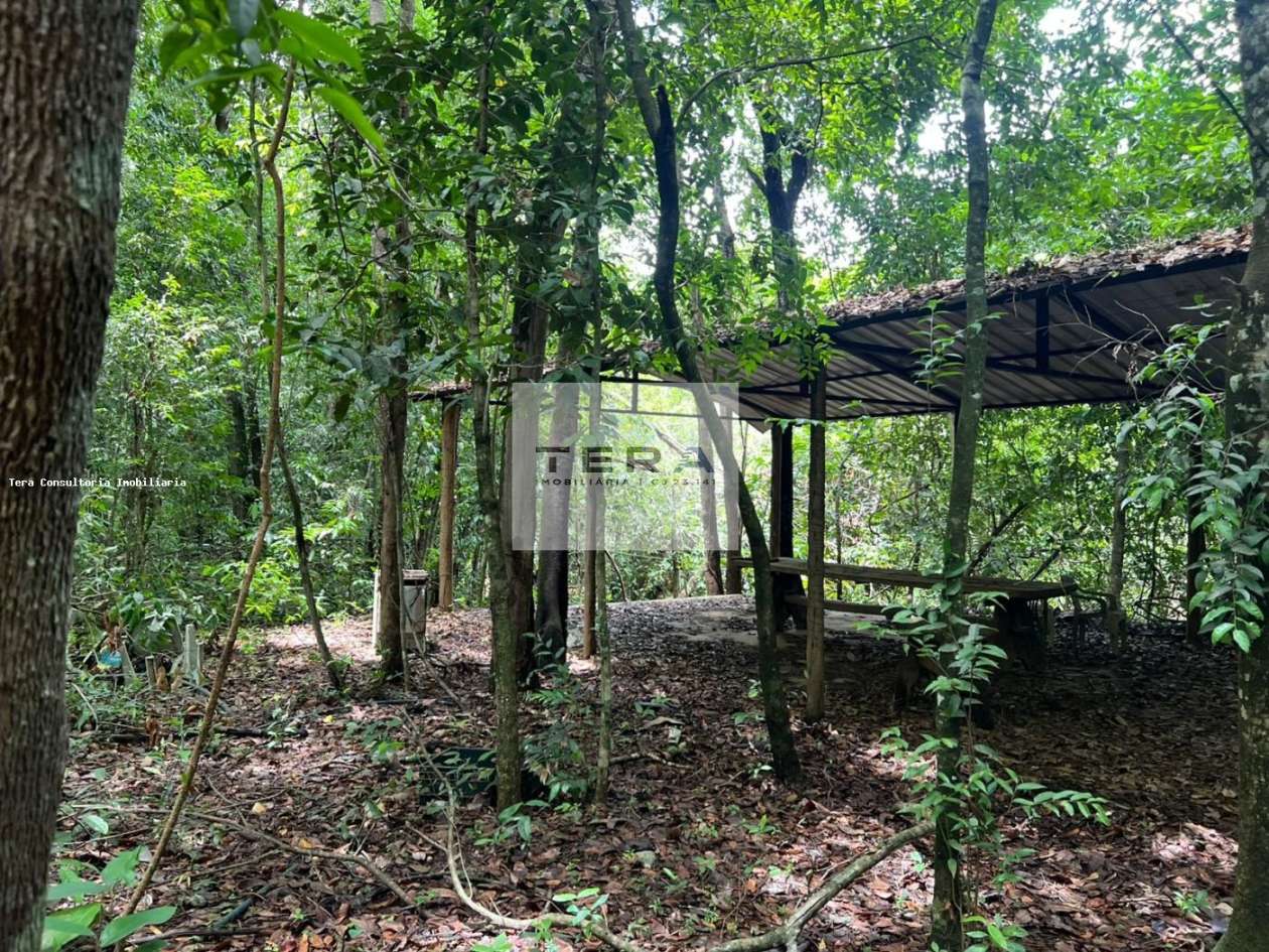 Terreno, 5 hectares - Foto 2