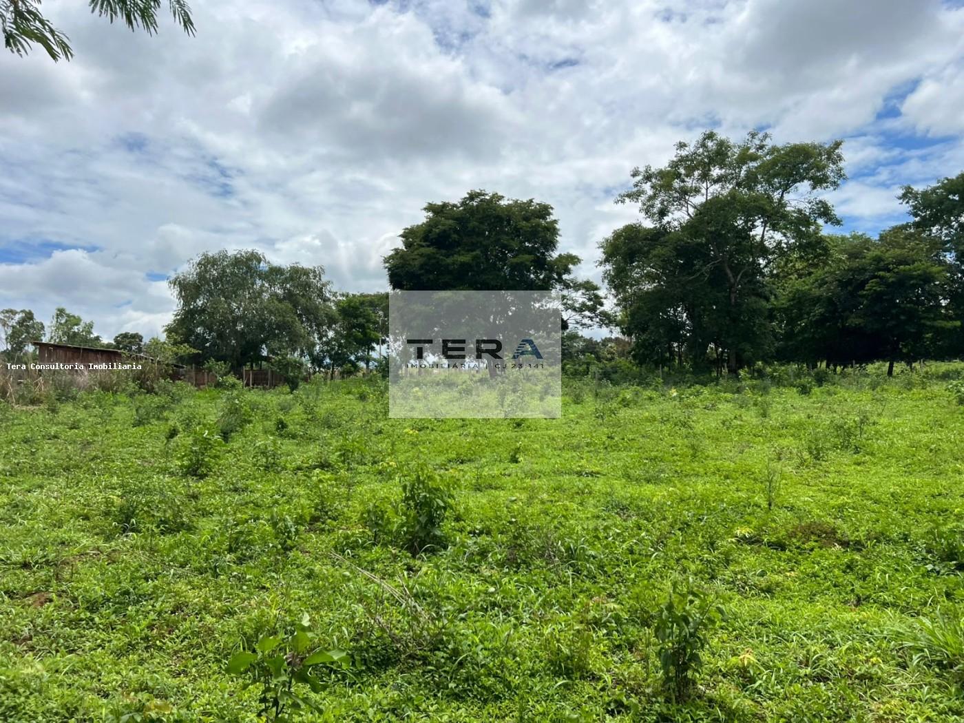 Terreno, 5 hectares - Foto 3