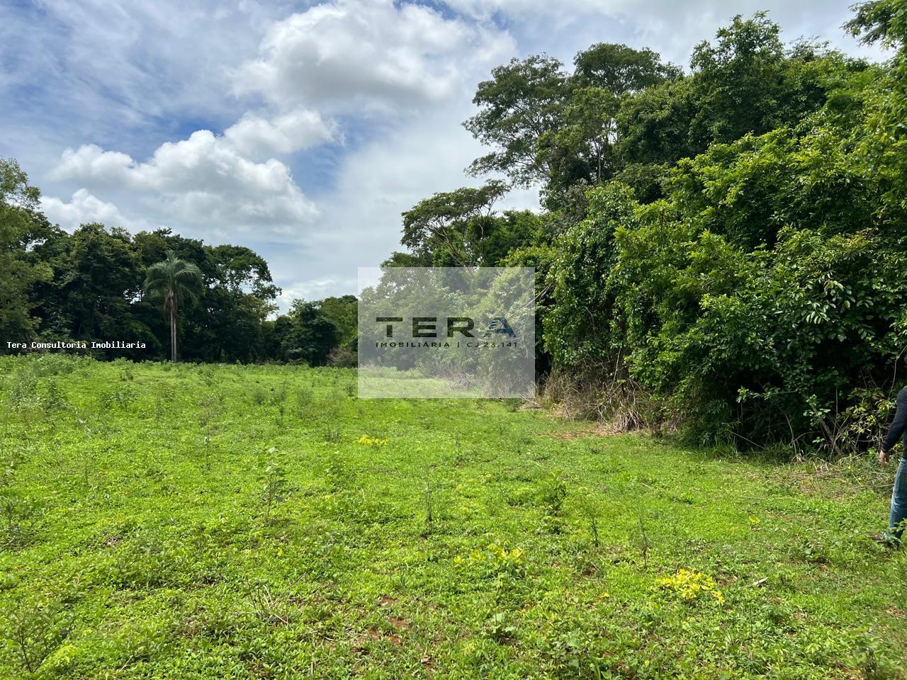 Chácara, 5 hectares - Foto 2