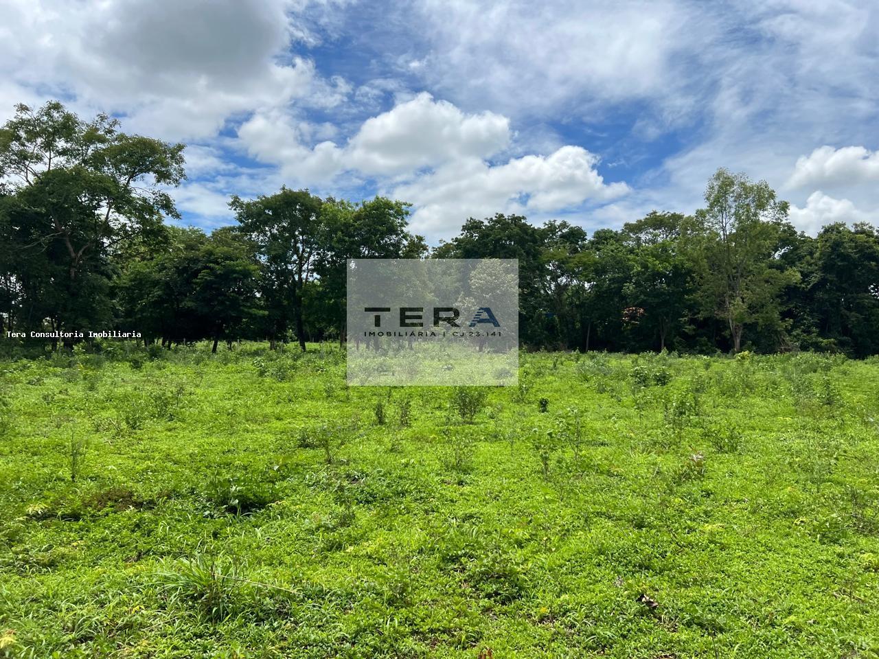 Chácara, 5 hectares - Foto 3