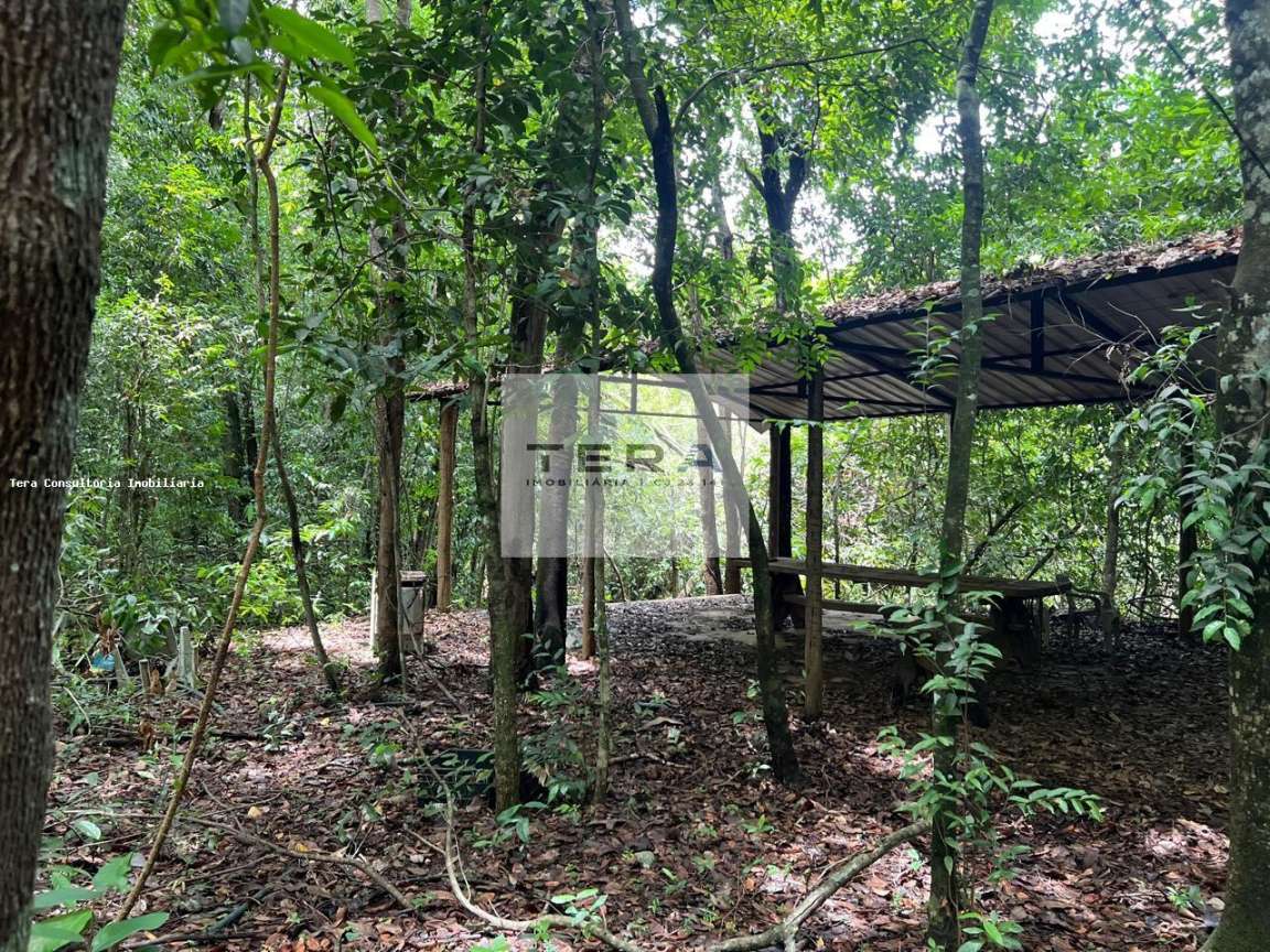 Chácara, 5 hectares - Foto 1