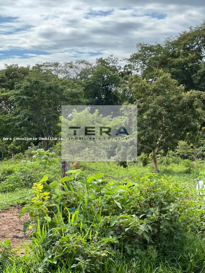 Terreno, 2 hectares - Foto 4