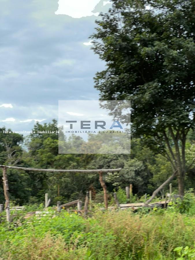 Terreno, 2 hectares - Foto 3