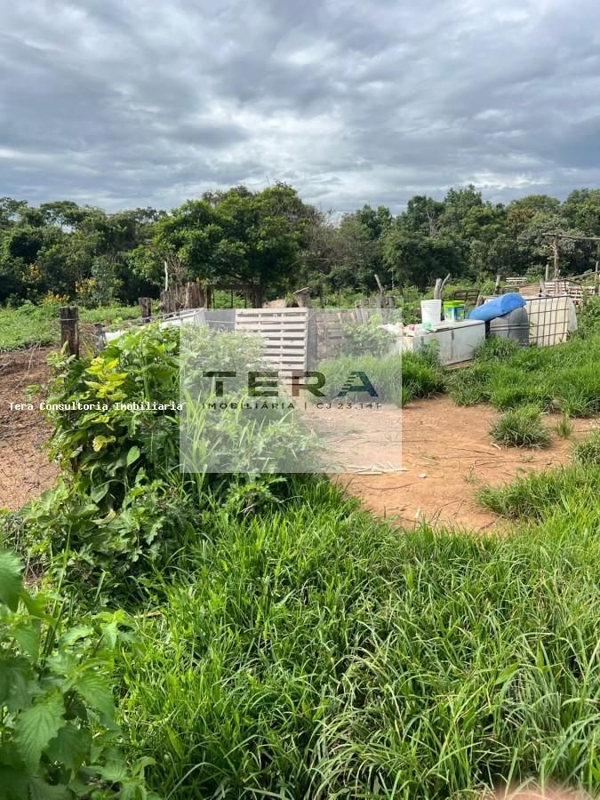 Terreno, 2 hectares - Foto 8