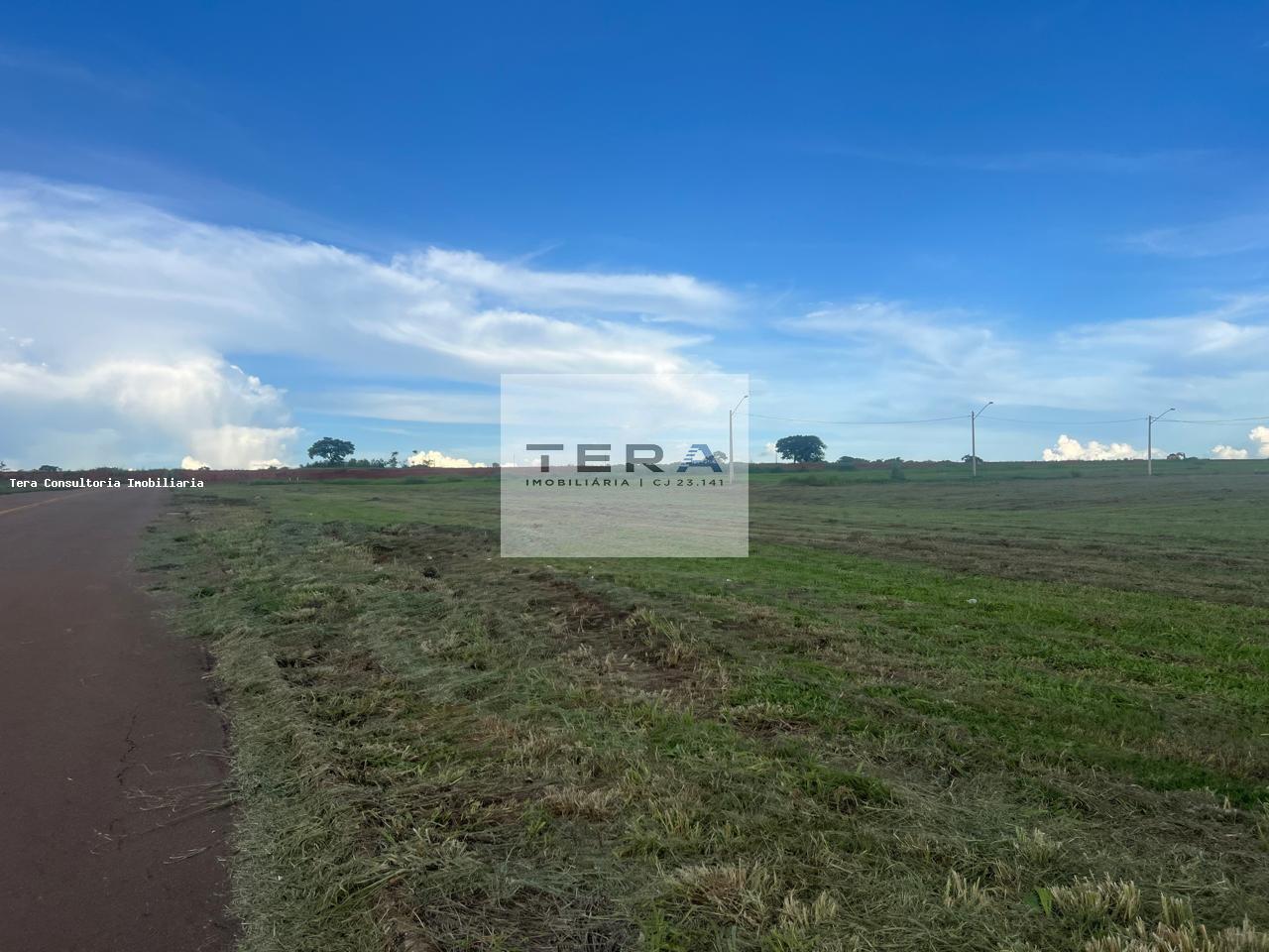 Terreno, 6867 m² - Foto 7