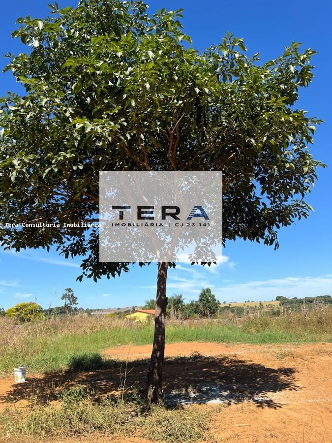 Chácara, 3000 m² - Foto 3