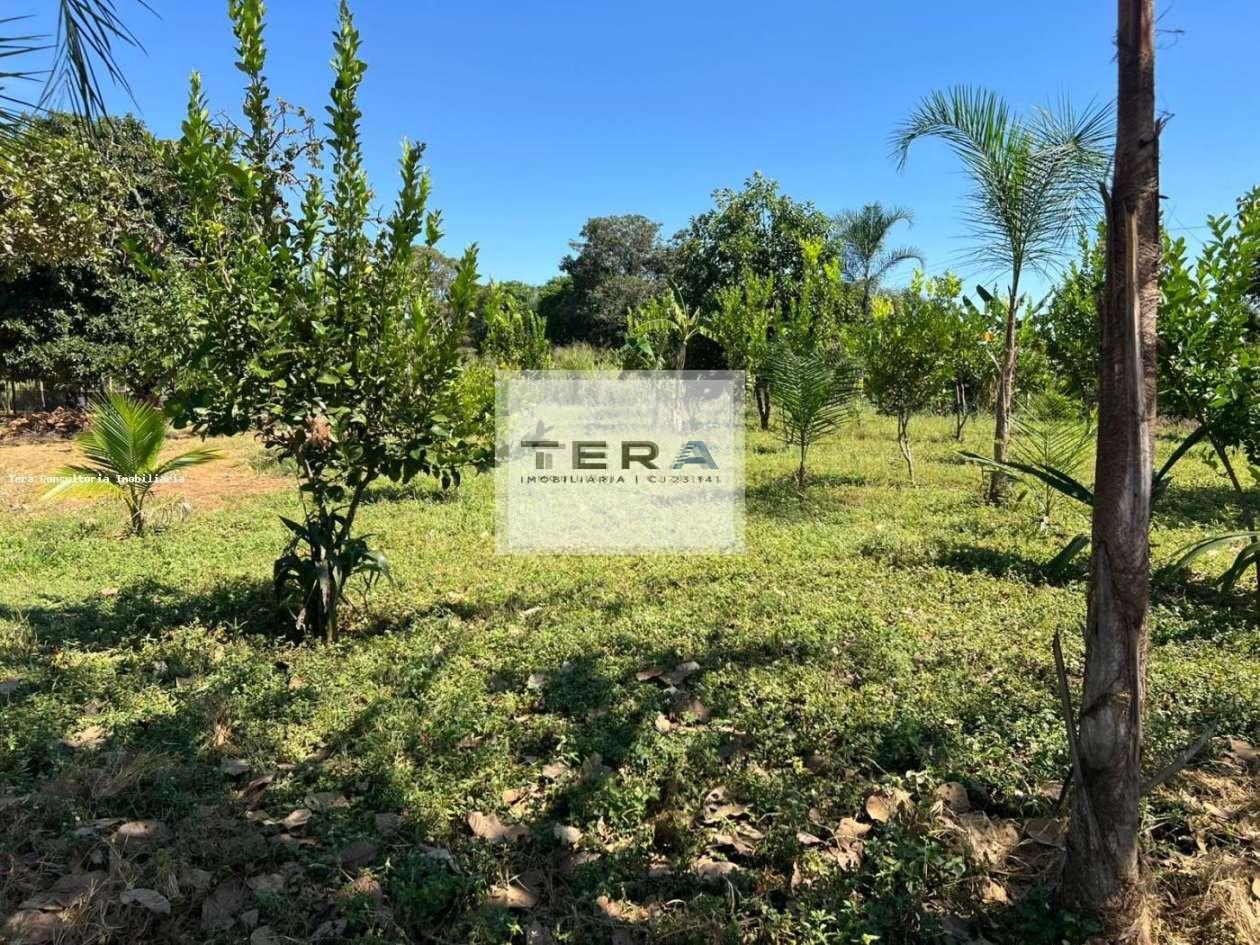 Chácara, 3000 m² - Foto 6