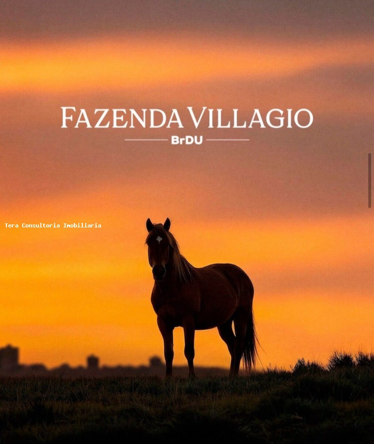 Terreno, 700 m² - Foto 4