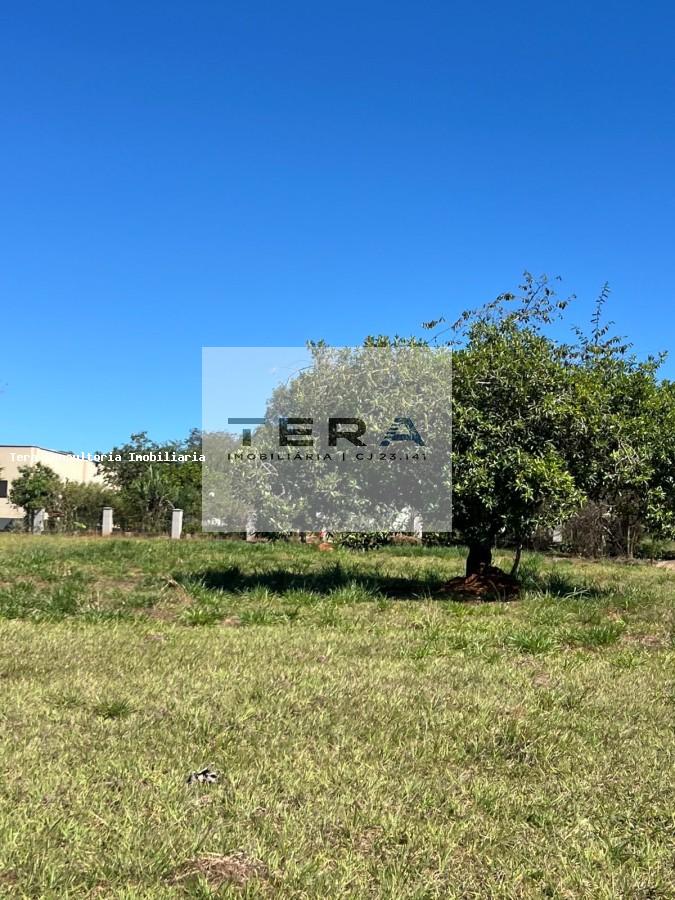 Terreno, 1540 m² - Foto 6